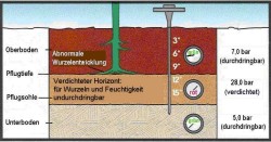 grafik sct.jpg grafik sct.jpg